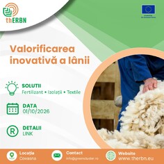 Training: Valorificarea inovativă a lânii